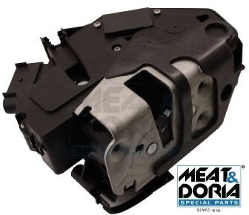 Meat doria 31398 - meat, &